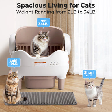 Experience Stress-Free Living with a Happy Cat!