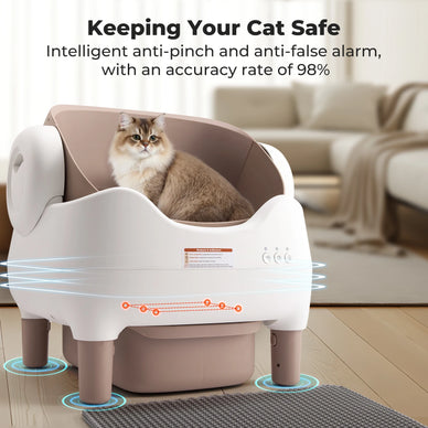 Experience Stress-Free Living with a Happy Cat!