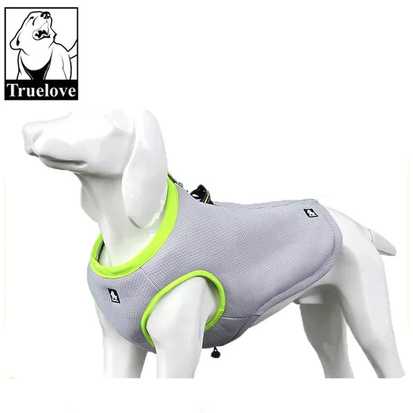Pet Cooling Vest Summer Clothes Cooler Lightweight Jacket for Small and Big Dog Warm Winter 